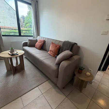 Bel Proche Du Chateau Apartment *